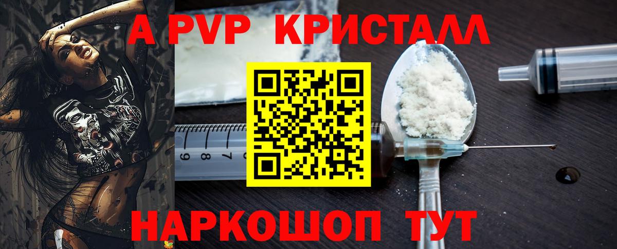 Alfa_PVP СК КРИС Пенза