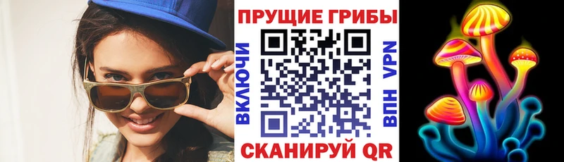 Галлюциногенные грибы Psilocybe Пенза