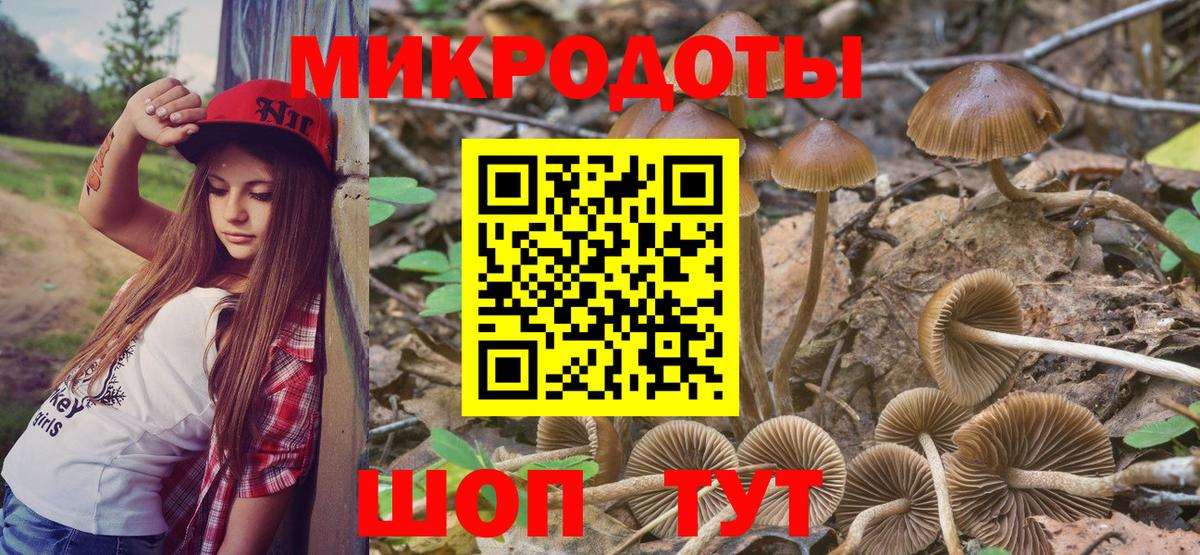 Псилоцибиновые грибы Magic Shrooms Пенза