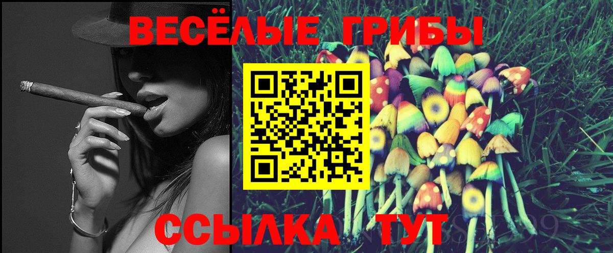 Галлюциногенные грибы Psilocybe  Пенза 