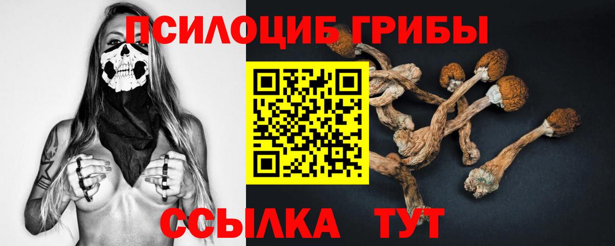 Пенза  Псилоцибиновые грибы Psilocybine cubensis  Псилоцибиновые грибы MAGIC MUSHROOMS  Вход с VPN 
